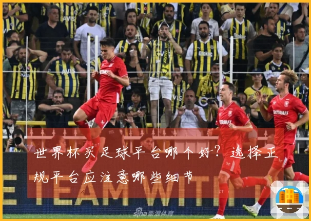 世界杯买足球平台哪个好？选择正规平台应注意哪些细节