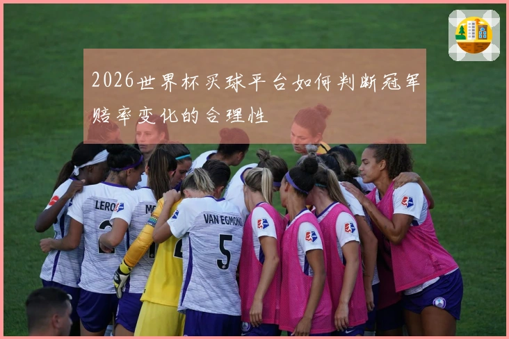 2026世界杯买球平台如何判断冠军赔率变化的合理性