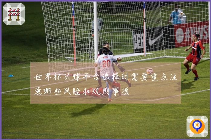 世界杯买球平台选择时需要重点注意哪些风险和规则事项