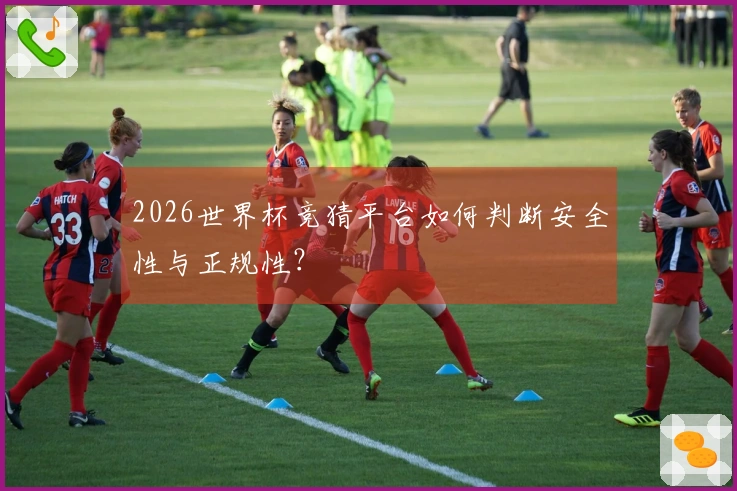 2026世界杯竞猜平台如何判断安全性与正规性？