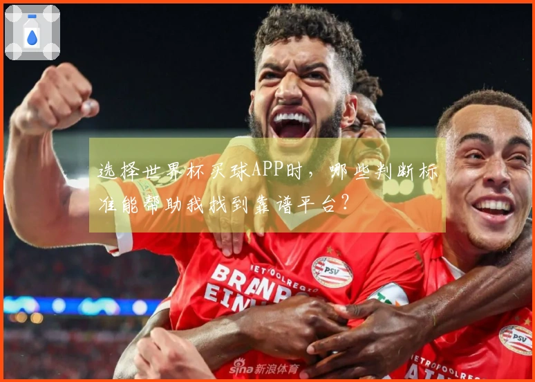 选择世界杯买球APP时,哪些判断标准能帮助我找到靠谱平台?