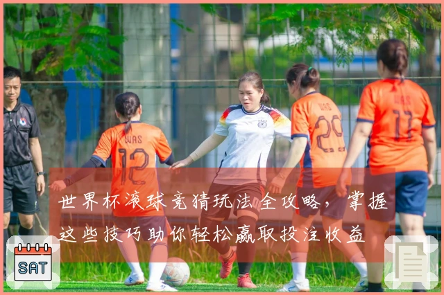 世界杯滚球竞猜玩法全攻略，掌握这些技巧助你轻松赢取投注收益