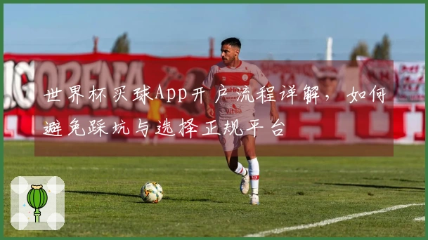 世界杯买球App开户流程详解，如何避免踩坑与选择正规平台