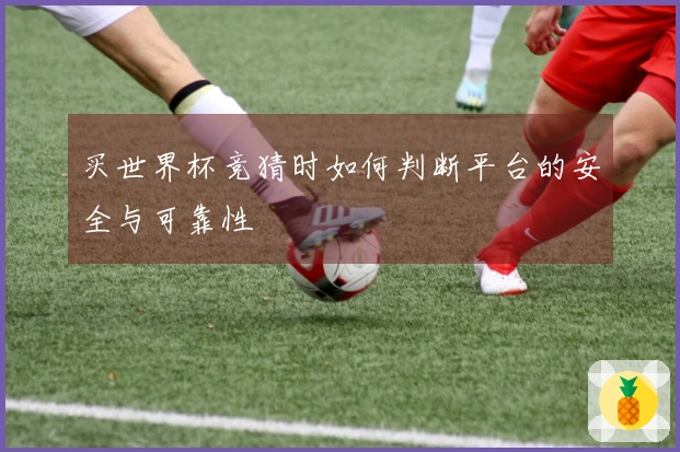 买世界杯竞猜时如何判断平台的安全与可靠性