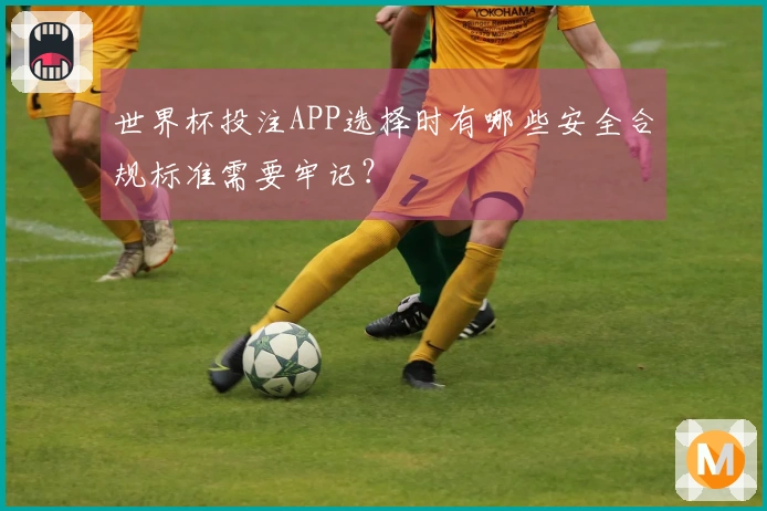世界杯投注APP选择时有哪些安全合规标准需要牢记？
