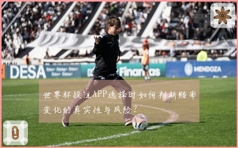世界杯投注APP选择时如何判断赔率变化的真实性与风险?