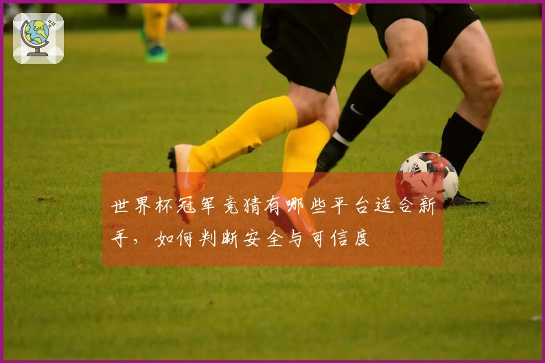 世界杯冠军竞猜有哪些平台适合新手，如何判断安全与可信度