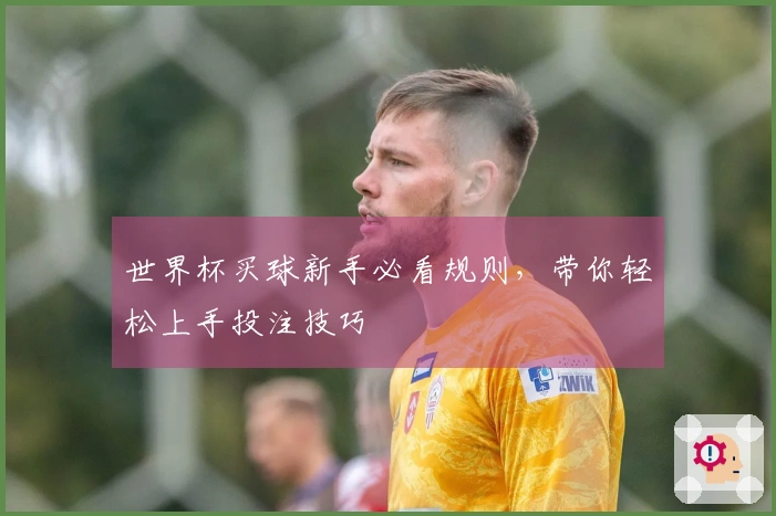 世界杯买球新手必看规则，带你轻松上手投注技巧