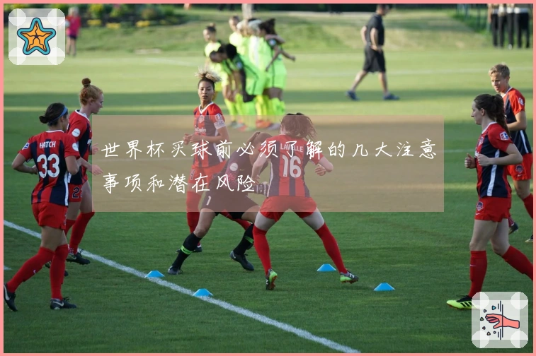 世界杯买球前必须了解的几大注意事项和潜在风险