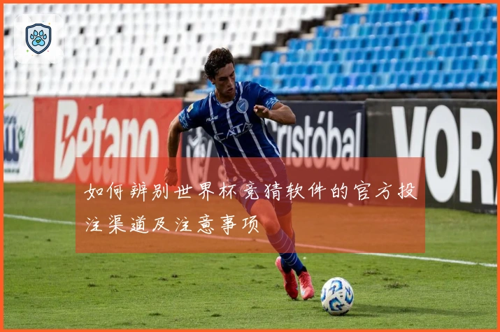 如何辨别世界杯竞猜软件的官方投注渠道及注意事项