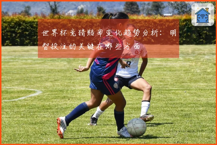 世界杯竞猜赔率变化趋势分析：明智投注的关键在哪些方面