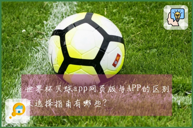 世界杯买球app网页版与APP的区别及选择指南有哪些？