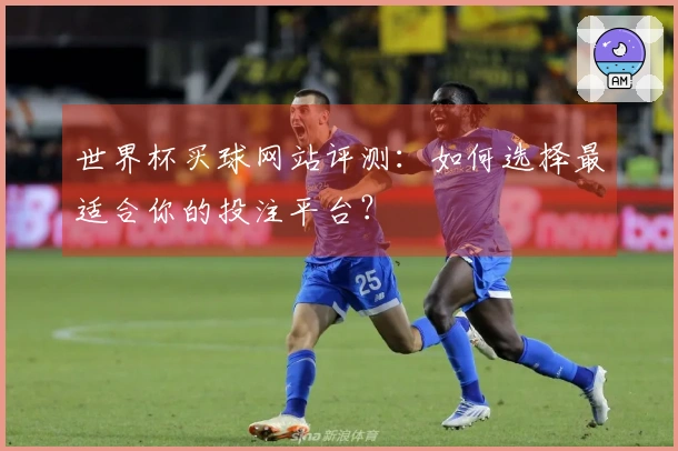 世界杯买球网站评测：如何选择最适合你的投注平台？