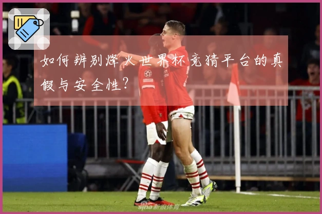 如何辨别烽火世界杯竞猜平台的真假与安全性?