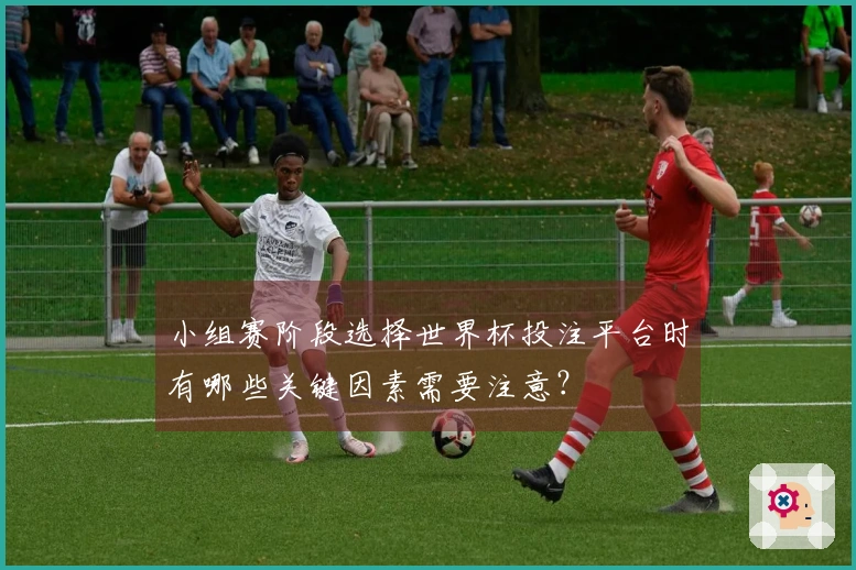 小组赛阶段选择世界杯投注平台时有哪些关键因素需要注意？