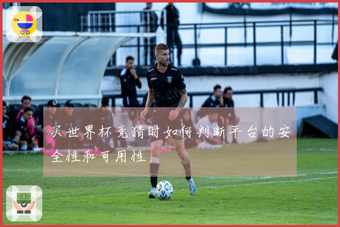 买世界杯竞猜时如何判断平台的安全性和可用性