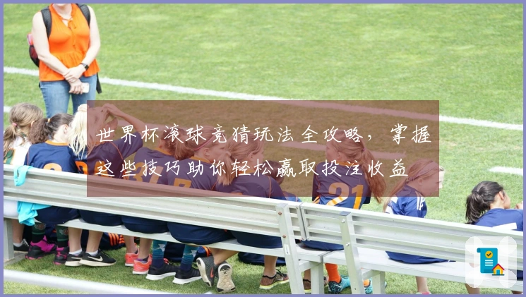 世界杯滚球竞猜玩法全攻略，掌握这些技巧助你轻松赢取投注收益