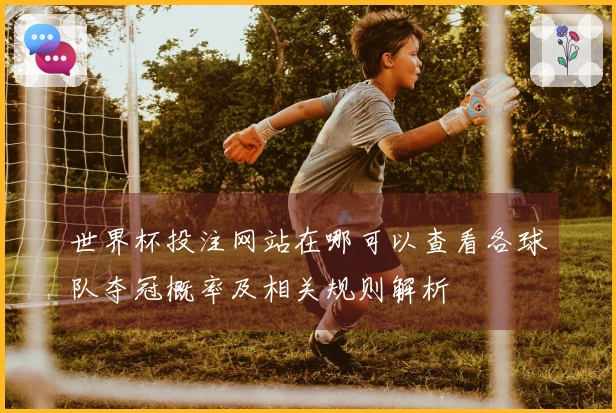 世界杯投注网站在哪可以查看各球队夺冠概率及相关规则解析