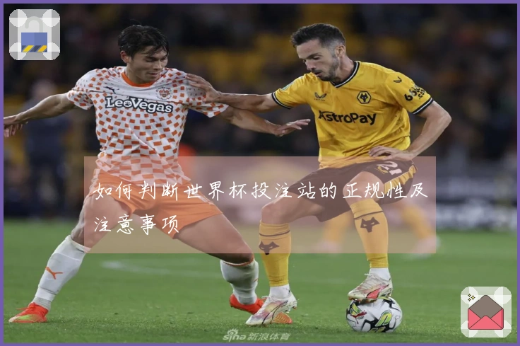 如何判断世界杯投注站的正规性及注意事项