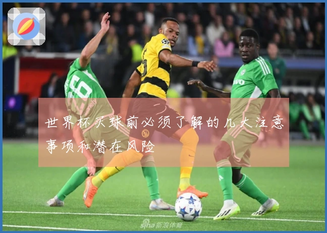 世界杯买球前必须了解的几大注意事项和潜在风险