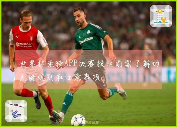 世界杯竞猜APP决赛投注前需了解的关键规则和注意事项