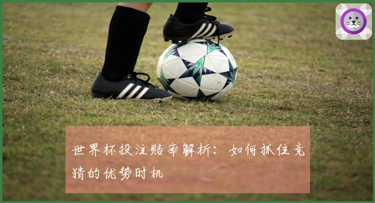 世界杯投注赔率解析：如何抓住竞猜的优势时机
